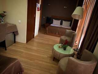 Отель hotel terrace Тбилиси Двухместный номер Делюкс с 1 кроватью или 2 отдельными кроватями-2